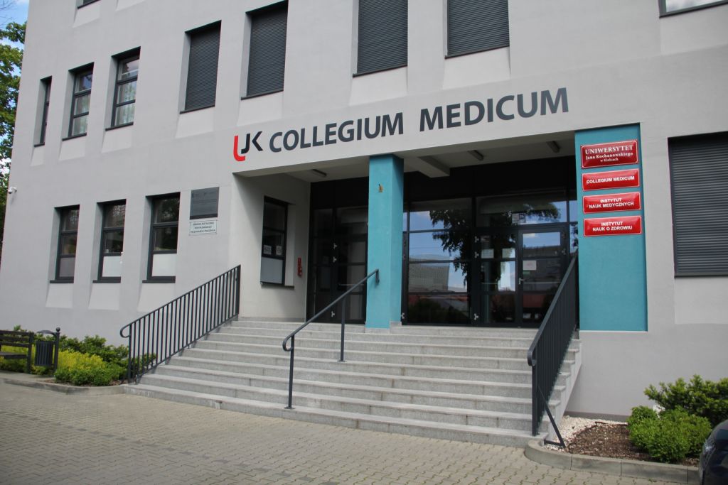 wejście do Collegium Medicum, schody